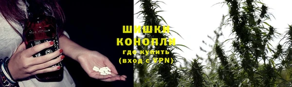 ПСИЛОЦИБИНОВЫЕ ГРИБЫ Абдулино