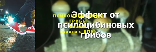 ГАЛЛЮЦИНОГЕННЫЕ ГРИБЫ Алексин