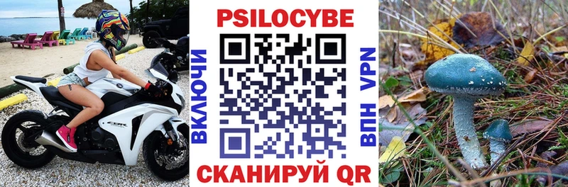 наркотики  кракен онион  Галлюциногенные грибы Cubensis  Сертолово 