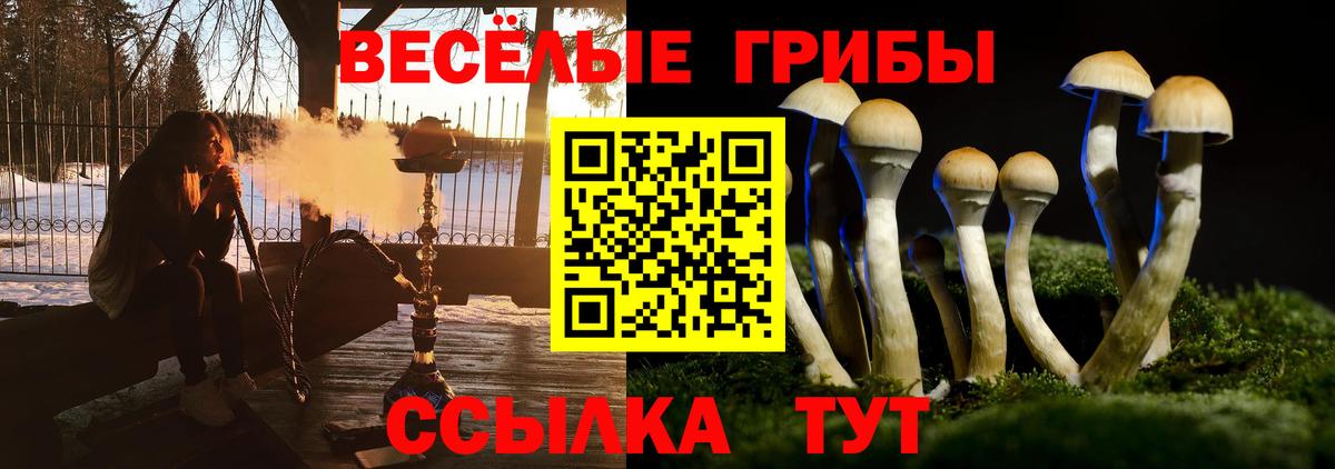 Канабис Сертолово